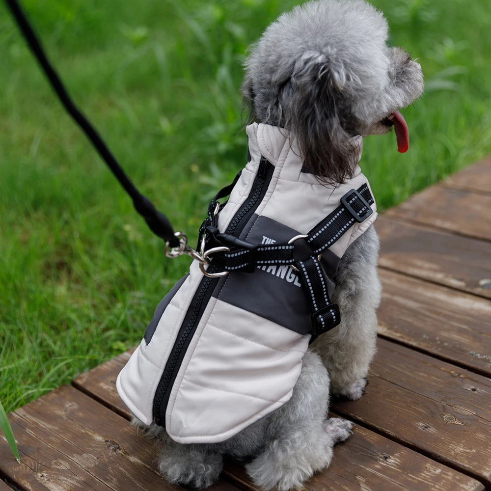 VINTERJACKA FÖR HUND MED SELE – VARMA OCH VATTENTÄT